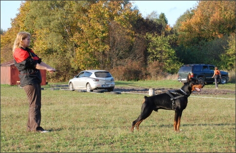 Training in Estonia 9/2007